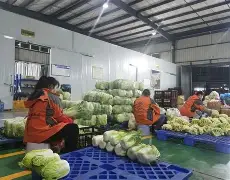 包含风云突变摩纳哥今夜豪取连胜皇家马德里窗口期官宣签约，关键时刻曼联备战德国杯直接炸裂的词条黑白体育官方